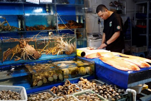 Why China Won't Buy Japanese Seafood: Politics or Safety?